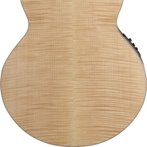 Washburn HJ40SCE Heritage Series Jumbo Cutaway Acoustic-Electric Guitar image 2