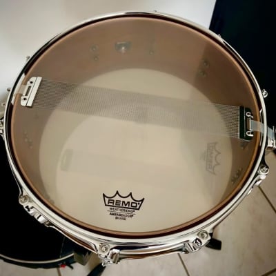 Mapex Black Panther 14x5.5 Maple Premium Édition Limitée image 2