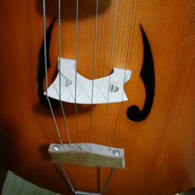 Philippe Berne 'Aperggione' 6 string guitarviol/cello 2011 - rosewood, spruce, maple image 7