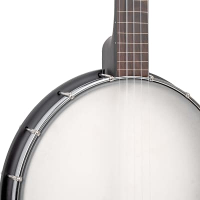 Gold Tone AC-12FL 12'' Fretless Acoustic Composite 5-String Openback Banjo with Gig Bag image 7