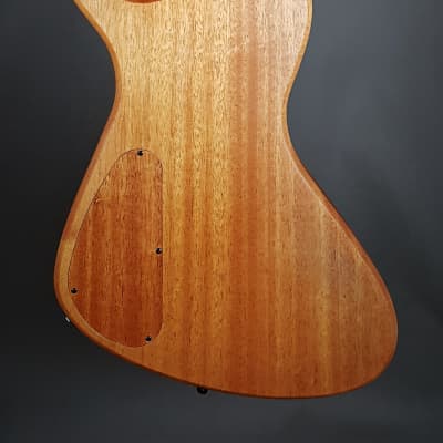 Manuel Ali Guitars Underdog #6 2020 matt white image 9