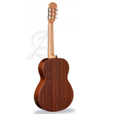 Alhambra 1 C Hybrid Terra Classical Guitar w/Bag image 2