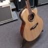 Ibanez AEW51 Acoustic Electric Guitar, spruce top, Multi Wood back and sides