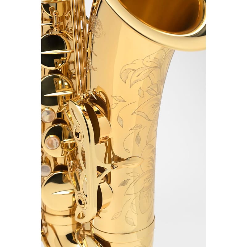 Saxophone ténor Sib Sax laqué noir avec étui à instruments