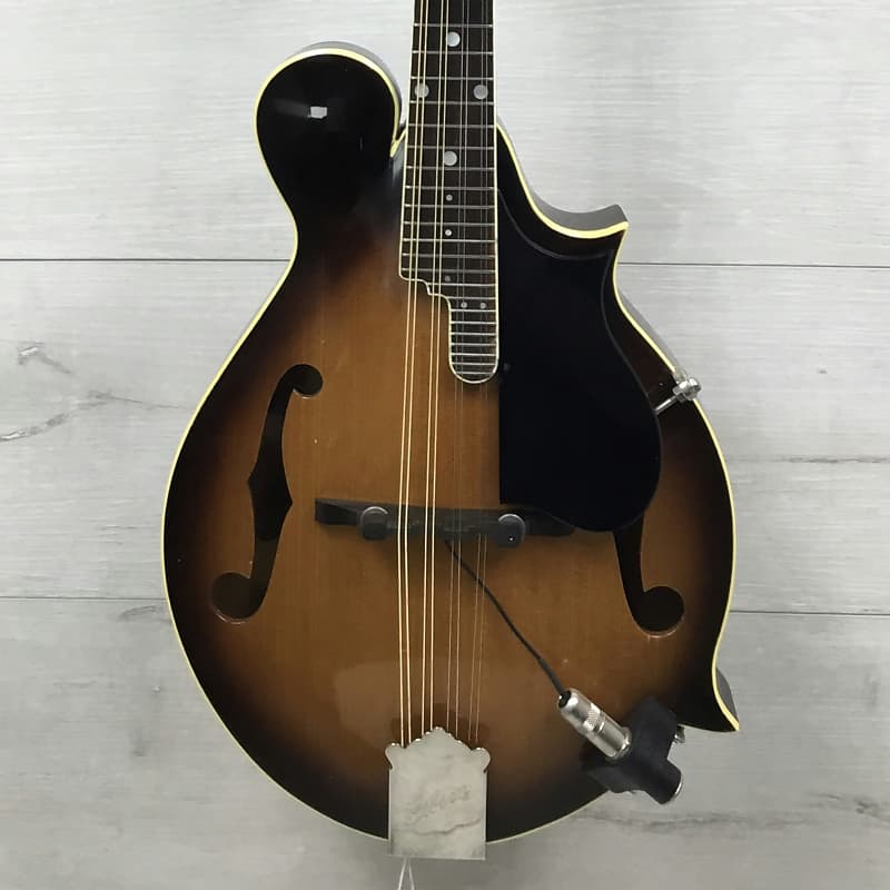 Vinatge 1970's Gibson A12 Mandolin (Between F and A Style) Reverb
