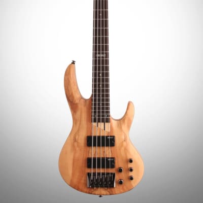 ESP LTD B205SM Electric Bass, 5-String, Natural Satin image 2