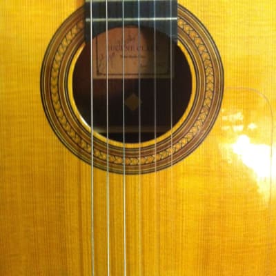 Eugene Clark Classical 1974 Brazilian Rosewood and Spruce image 3