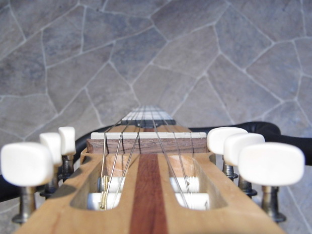 Tenayo shop silent guitar