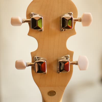 Gold Tone GT-Series AC-5 Banjo image 7