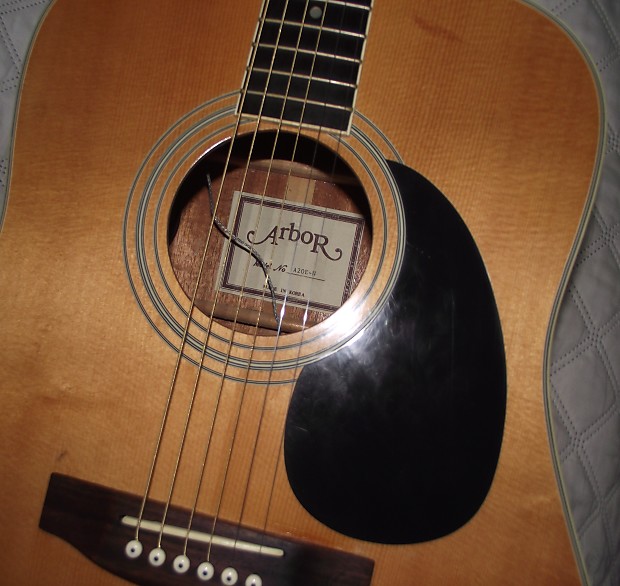 Arbor acoustic guitar cheap