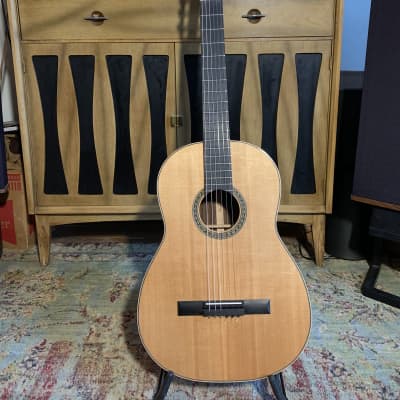 Martin N20 2018 - Natural for sale