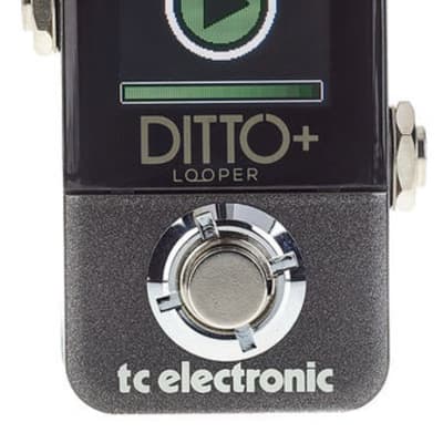 TC Electronic Ditto+ Looper image 5