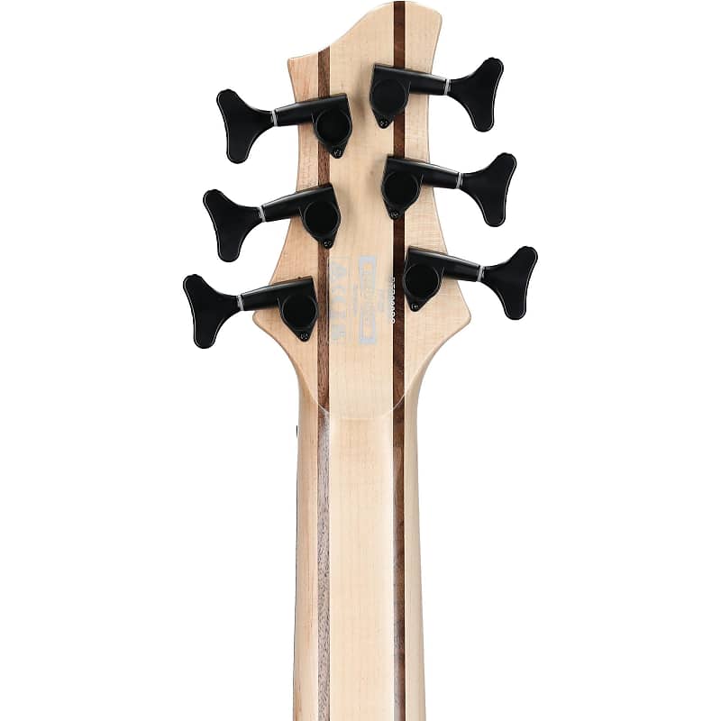 Ibanez BTB866SC Bass Workshop | Reverb