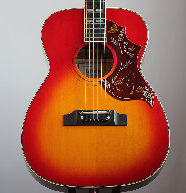 Dixon hummingbird store guitar
