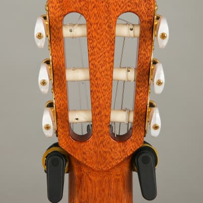 Perez 635 Ziricote Solid Red Cedar Top Mahogany Nylon Classical Guitar image 4
