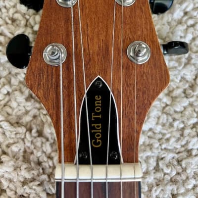 Gold Tone Model EB-6 - Electric 6-string Guitar Banjo Banjitar w/Gig Bag - NEW image 6