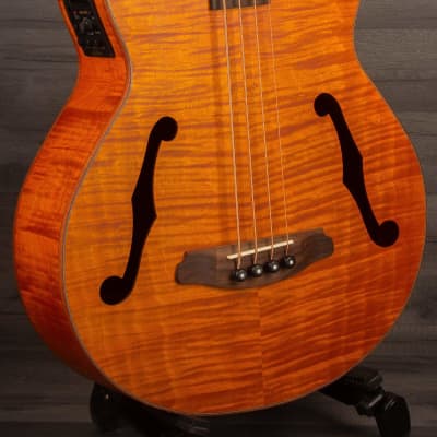 Aria FEB F2M Stained Brown Medium scale Acoustic Bass image 4