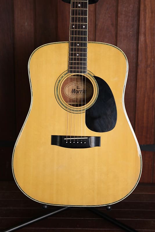 Morris W-25 Acoustic Guitar Made In Japan Pre-Owned | Reverb
