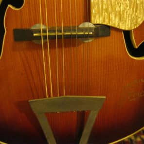 Arnold Hoyer Vintage  c.1960 Sunburst Guitar-Bodied Electro-Mandolin/ Mandolinetto. image 11