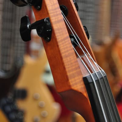 NS Design CR4 Double Bass Amber image 18