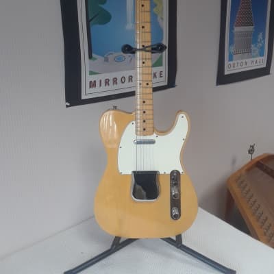1974 Fender Telecaster Natural Butterscotch Blonde OHSC Clean & Superb! image 1