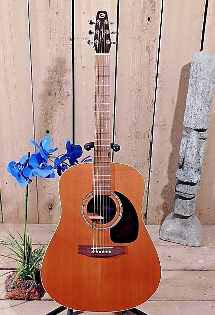 seagull maritime cedar GT ギター Seagull S6+ Cedar GT Acoustic Guitar | zZounds