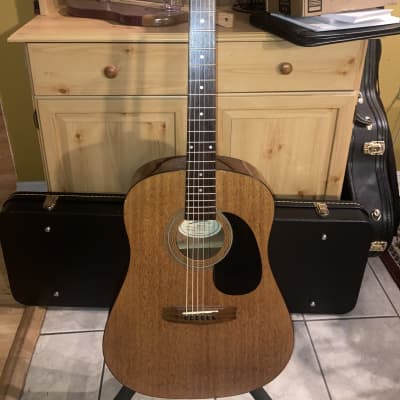 Vantage VIS-1G Acoustic Guitar for sale