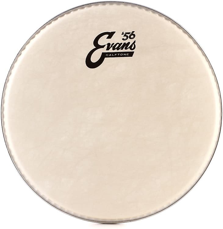 Evans Calftone Drumhead - 10 inch image 1