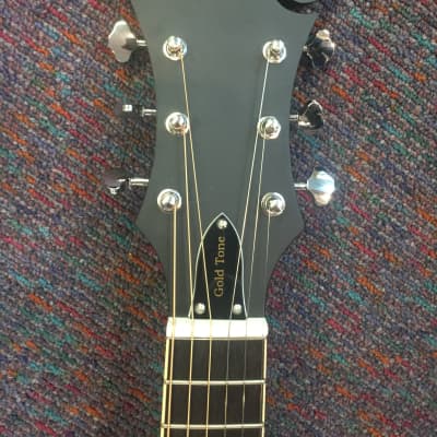 Gold Tone Mando Guitar Model F-6 Plays like Guitar-New with Case and Shop Setup! image 3