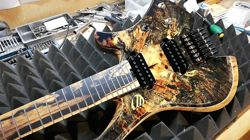 Overload Custom Guitars Themis 2022 | Reverb