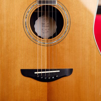 Josh Williams Acoustic Guitar -  Dreadnought Signature Series - Torrefied Adirondack Spruce Top image 19