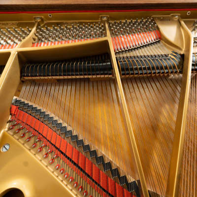 Samick 5' 1” G-1A Grand Piano | Polished Mahogany | SN: 832829 image 5