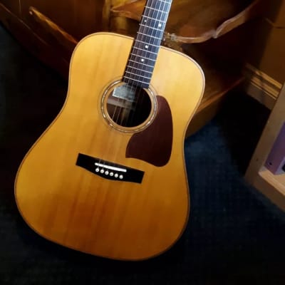 ギター Ibanez AW-100 AW100 (1979–1981) | Ibanez Wiki | Fandom