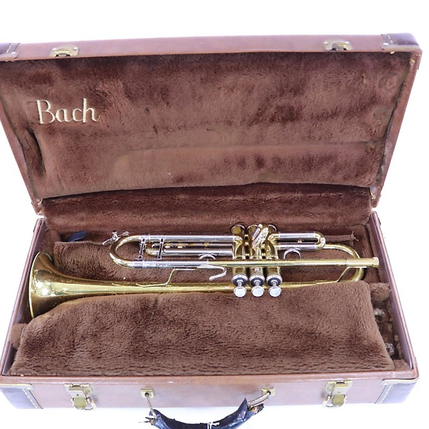 Bach stradivarius best sale 25
