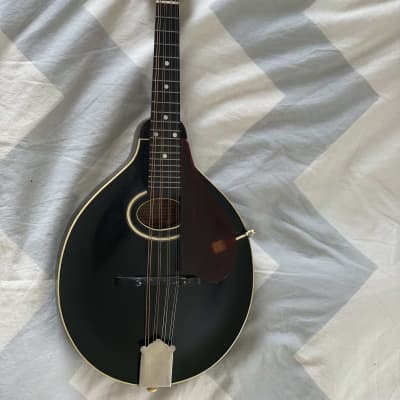 Gibson A Model 1928 Blackface image 3