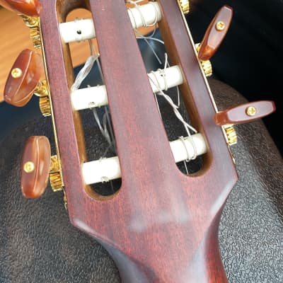 Takamine EAN60c 2002 Natural Satin Finish Nylon Guitar image 5