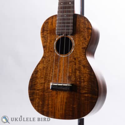 Sofla Concert Koa 2017 image 2
