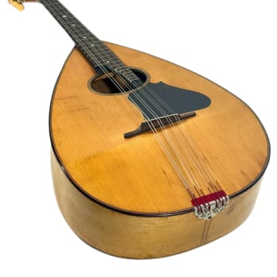 Concert Mandola Flat-Back Emanuele Egildo N°240 from 1920 image 17