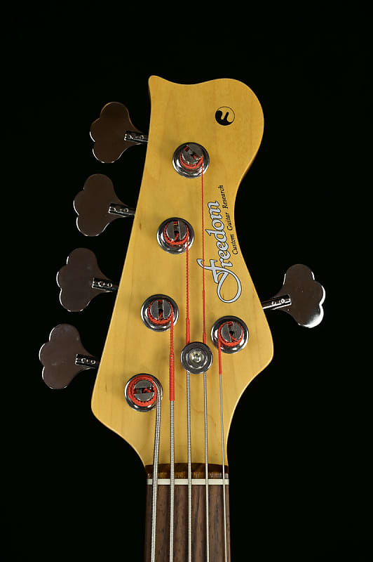Freedom Custom Guitar Research Freedom RS JB-5ST Natural [02