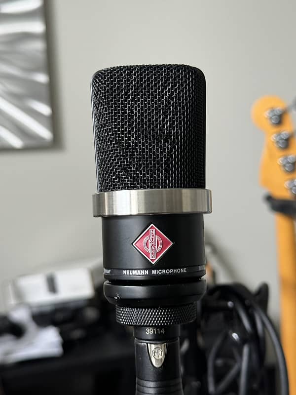 Neumann TLM 102 mt Large Diaphragm Cardioid Condenser Reverb