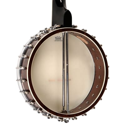 Gold Tone WL-250 White Ladye Professional Maple Neck Openback Banjo with Gig Bag image 4