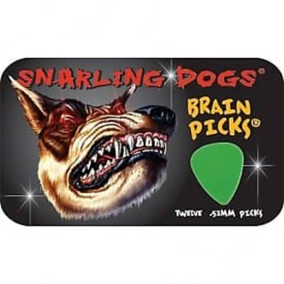 Snarling Dog Guitar Picks Tin  Brain Picks  12 Picks With Tin  .53mm  Green image 2