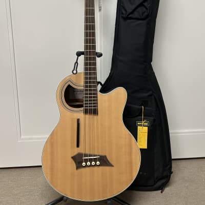 RockBass Alien Standard 4st | Warwick Japan