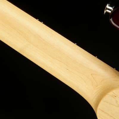 PRS CE 24 - Burnt Amber 2023 image 10