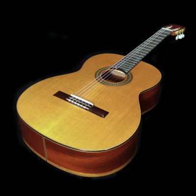 Luthier Built Torres Concert Classical Guitar - Cedar & Padauk image 2