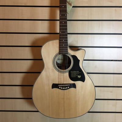 Richwood G-60-CE Master Series Handmade Natural High Gloss Acoustic Guitar for sale