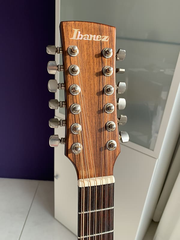 Ibanez AW25 1979 | Solid Japanese 12 String Artwood Acoustic