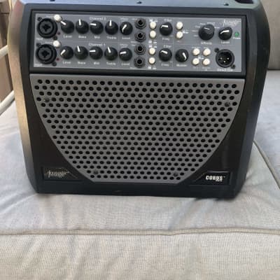 Acoustic Image Corus Series III model 512 GA with extension cabinet for sale