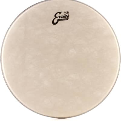 Evans Calftone Drumhead - 16 inch image 1