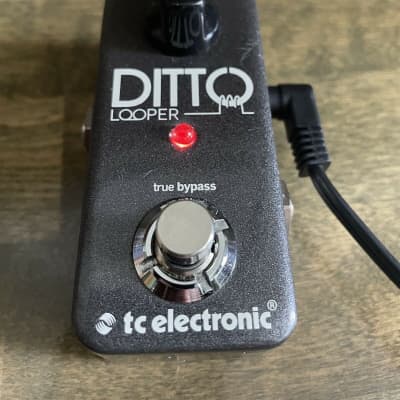 TC Electronic Ditto Looper Effects Pedal Used image 2